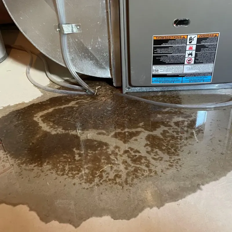 Pipe Burst and Leak Restoration in East Greenbush, NY